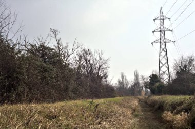 Çıplak ağaçlar ve elektrik direkleriyle dolu bir parkta kışın kuru bir su akıntısının yatağında görülen patika.