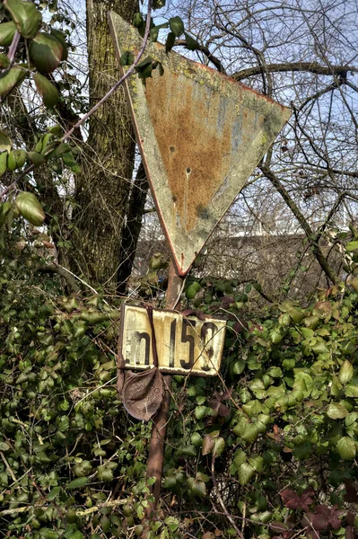 Versleten Stopbord Omringd Door Bomen Onkruid — Stockfoto