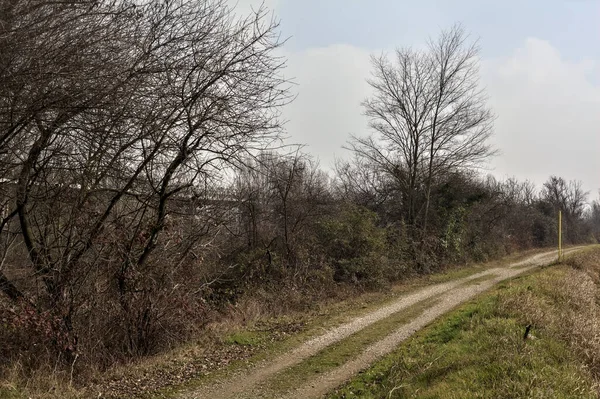 Špinavá Stezka Parku Venkově Zamračený Den — Stock fotografie