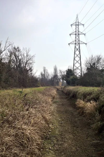 Çıplak ağaçlar ve elektrik direkleriyle dolu bir parkta kışın kuru bir su akıntısının yatağında görülen patika.