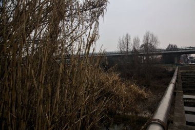 Kışın bulutlu bir günde arka planında viyadük olan bir su kemerinin yanında solan bastonlar.