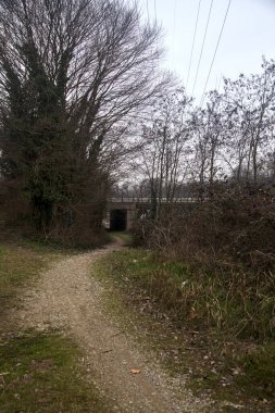 Bulutlu bir günde köprünün altından geçen bir korulukta yol