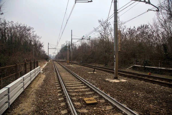 Kırsal Kesimdeki Bir Korulukta Demiryolu Hattı — Stok fotoğraf