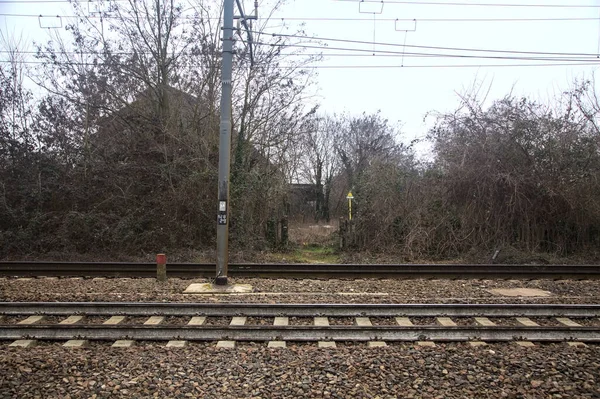 Spoorweg Een Bos Het Platteland — Stockfoto