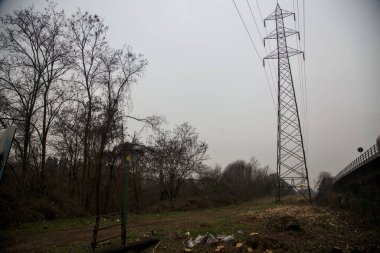 Elektrik direği olan bir koruluğun yanındaki arazide toprak yol.