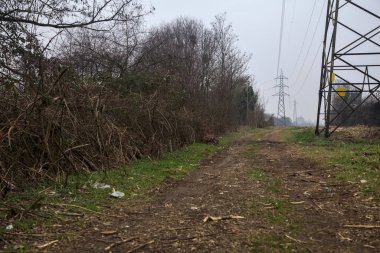 Elektrik direği olan bir koruluğun yanındaki arazide toprak yol.