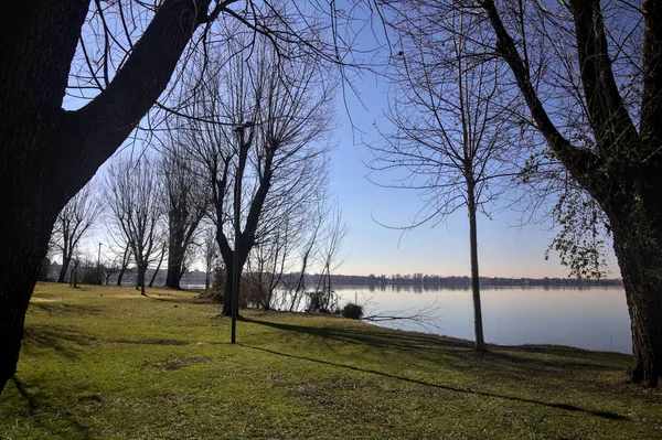 Shore Lake Trees Plants Clear Day — Stock Photo, Image