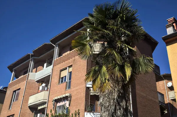 Palmiye Ağacı Olan Bir Konut Binasının Cephesi — Stok fotoğraf