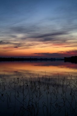 Gün batımında gölün kıyısında kutuplar.
