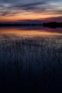 Gün batımında gölün kıyısında kutuplar.