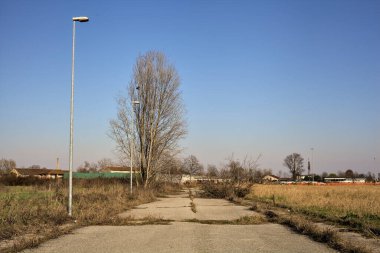 Terk edilmiş yol, çıplak ağaçlarla çevrili ve kırsal alanlarla çevrili.