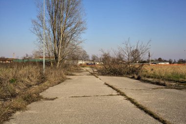 Terk edilmiş yol, çıplak ağaçlarla çevrili ve kırsal alanlarla çevrili.
