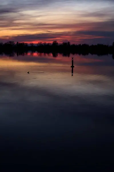 Lake Sunset Buoy Forest Distance — Stock Photo, Image