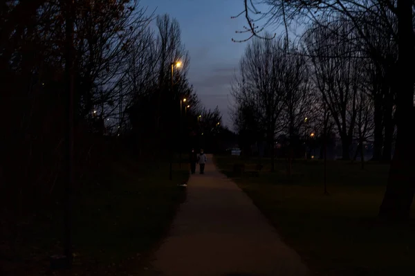 Weg Einem Park Ufer Eines Sees Nachts Beleuchtet Von Straßenlaternen — Stockfoto