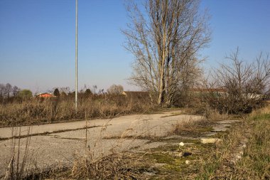 Terk edilmiş yol, çıplak ağaçlarla çevrili ve kırsal alanlarla çevrili.