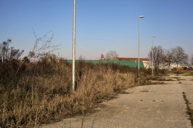 Terk edilmiş yol, çıplak ağaçlarla çevrili ve kırsal alanlarla çevrili.