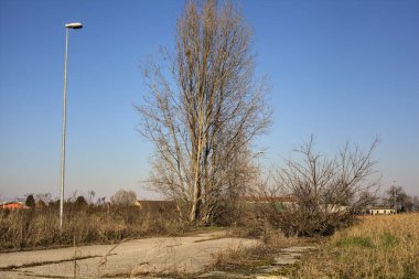 Terk edilmiş yol, çıplak ağaçlarla çevrili ve kırsal alanlarla çevrili.