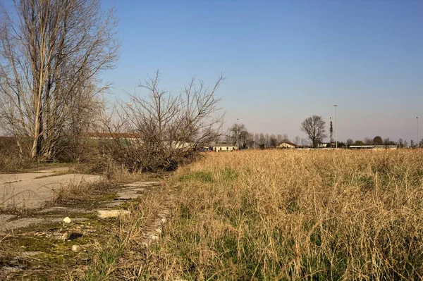 Terk edilmiş yol, çıplak ağaçlarla çevrili ve kırsal alanlarla çevrili.