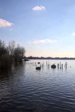 Açık bir günde, güneş tarafından aydınlatılan bir kıyısı olan göl.