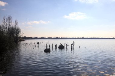 Açık bir günde, güneş tarafından aydınlatılan bir kıyısı olan göl.