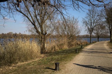 Gölün kıyısındaki bir parkta güneşli bir günde gezinen insanlarla dolu bir yol.