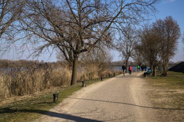 Gölün kıyısındaki bir parkta güneşli bir günde gezinen insanlarla dolu bir yol.
