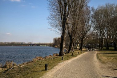 Gölün kıyısındaki bir parkta güneşli bir günde gezinen insanlarla dolu bir yol.