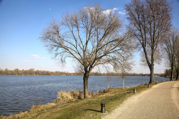 晴れた日には人々が散歩する湖のほとりの公園内の道 — ストック写真