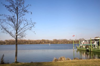 Güneşli bir günde bir göl kıyısında bir gemi ve çıplak bir ağaç.