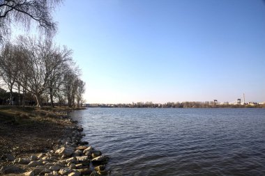 Güneşli bir günde bir gölün kayalık kıyısı