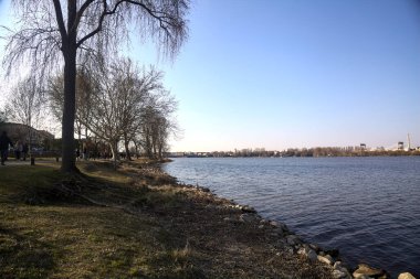 Güneşli bir günde bir gölün kayalık kıyısı