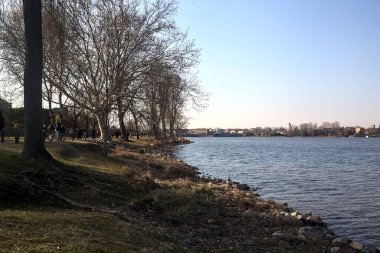 Güneşli bir günde bir gölün kayalık kıyısı