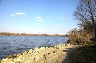 Güneşli bir günde bir gölün kayalık kıyısı