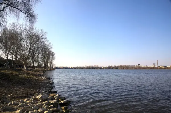 Güneşli bir günde bir gölün kayalık kıyısı