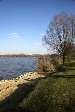 Güneşli bir günde bir gölün kayalık kıyısı