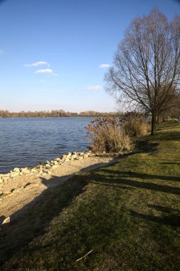 Güneşli bir günde bir gölün kayalık kıyısı