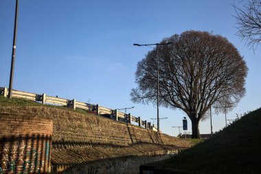 Demiryolunun yanındaki parkta, tepesinde çıplak bir ağaç olan bir sokakta.