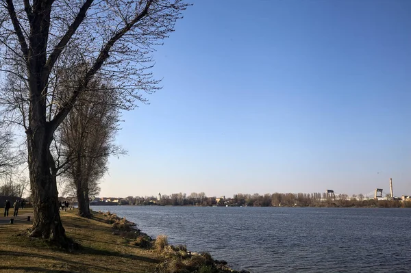 Orilla Lago Con Árboles Desnudos Día Soleado —  Fotos de Stock