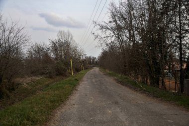Bulutlu bir günde, alacakaranlıkta bir koruluğun yanında köy yolu.