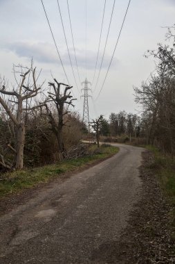 Karanlık çöktüğünde, bulutlu bir günde, bir kapısı ve çıplak ağaçları olan bir köy yolu.