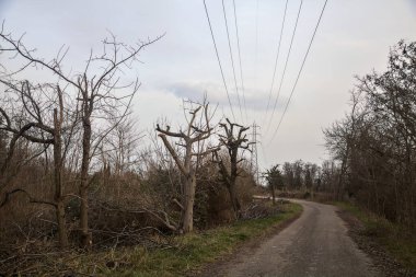 Karanlık çöktüğünde, bulutlu bir günde, bir kapısı ve çıplak ağaçları olan bir köy yolu.