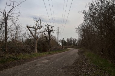 Karanlık çöktüğünde, bulutlu bir günde, bir kapısı ve çıplak ağaçları olan bir köy yolu.