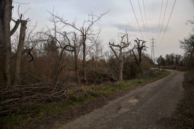 Karanlık çöktüğünde, bulutlu bir günde, bir kapısı ve çıplak ağaçları olan bir köy yolu.