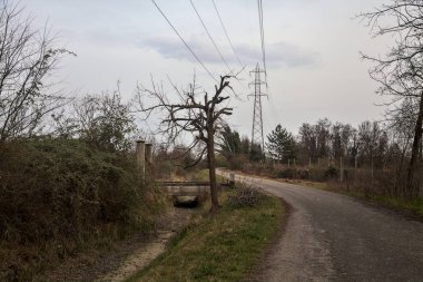 Karanlık çöktüğünde, bulutlu bir günde, bir kapısı ve çıplak ağaçları olan bir köy yolu.