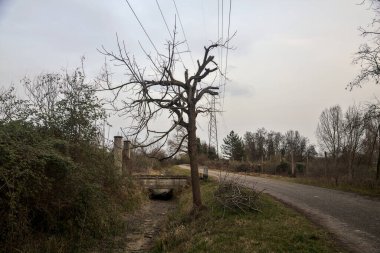 Karanlık çöktüğünde, bulutlu bir günde, bir kapısı ve çıplak ağaçları olan bir köy yolu.