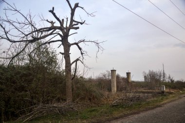 Karanlık çöktüğünde, bulutlu bir günde, bir kapısı ve çıplak ağaçları olan bir köy yolu.