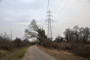 Bulutlu bir günde, alacakaranlıkta bir koruluğun yanında köy yolu.