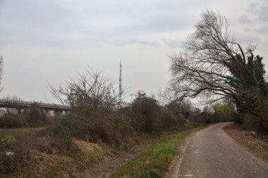 Bulutlu bir günde, alacakaranlıkta bir koruluğun yanında köy yolu.