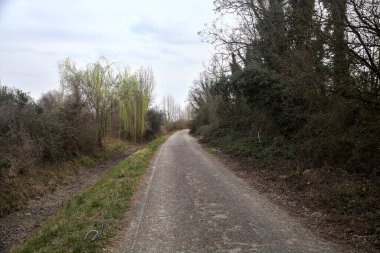 Bulutlu bir günde, alacakaranlıkta bir koruluğun yanında köy yolu.