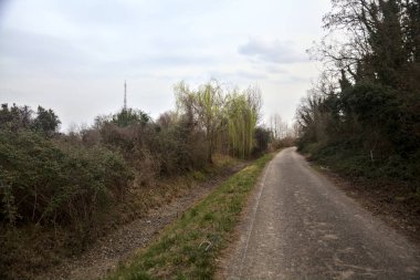 Bulutlu bir günde, alacakaranlıkta bir koruluğun yanında köy yolu.